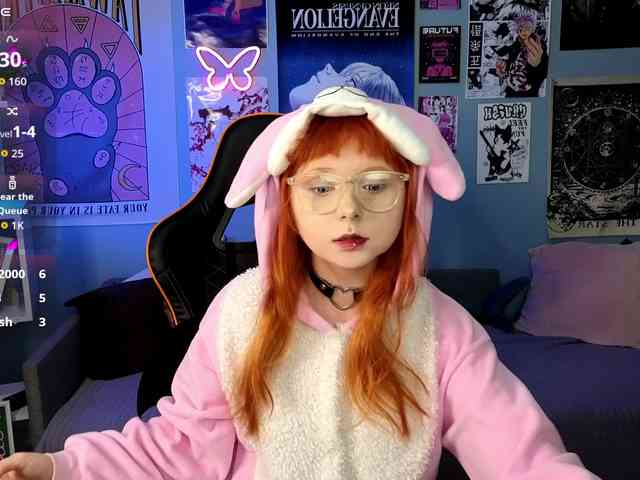 usagi-sasagi webcam
