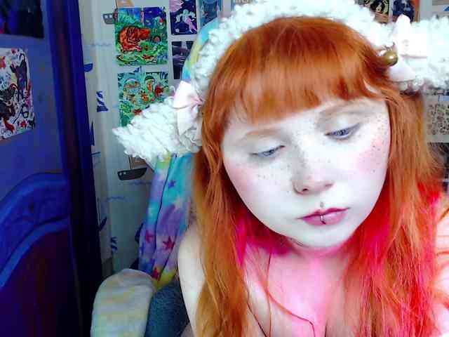 usagi-sasagi webcam