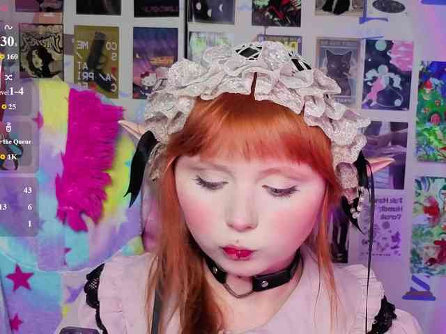 usagi-sasagi webcam