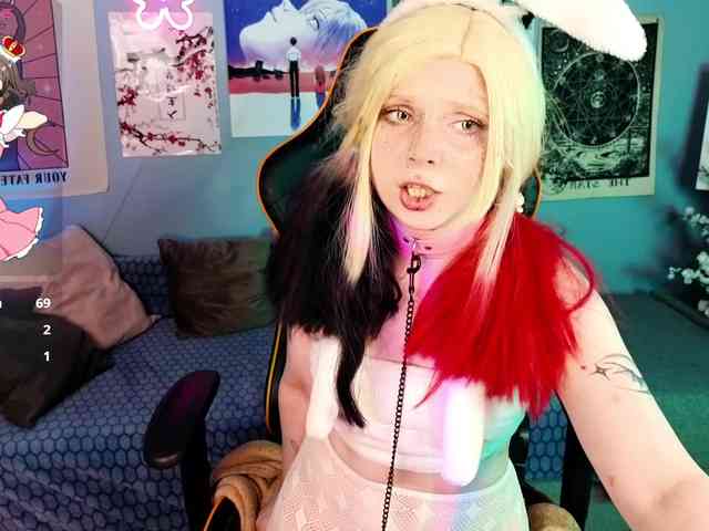 usagi-sasagi webcam