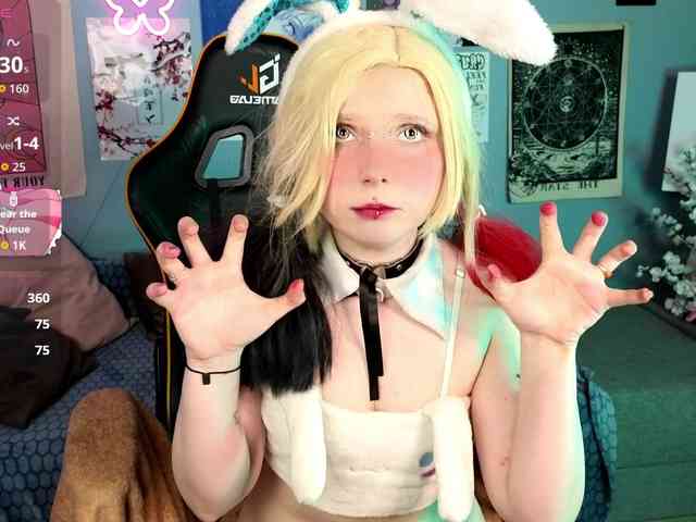 usagi-sasagi webcam