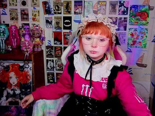 usagi-sasagi webcam
