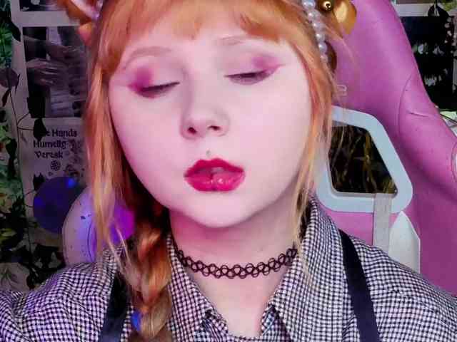 usagi-sasagi webcam