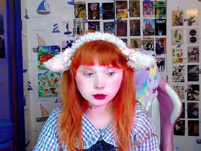 usagi-sasagi webcam