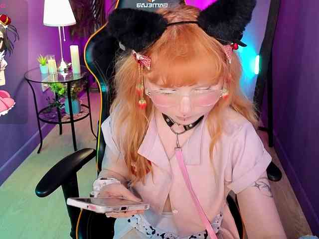 usagi-sasagi webcam