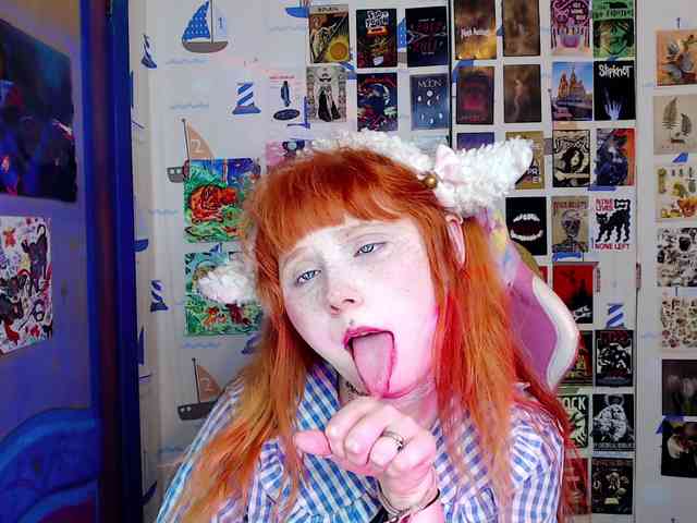 usagi-sasagi webcam