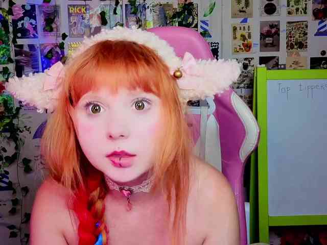 usagi-sasagi webcam