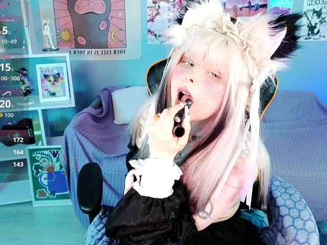 usagi-sasagi webcam