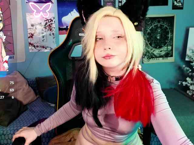 usagi-sasagi webcam