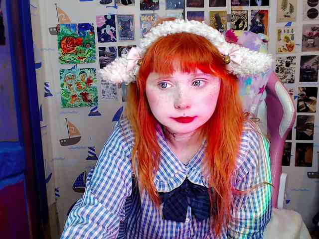 usagi-sasagi webcam