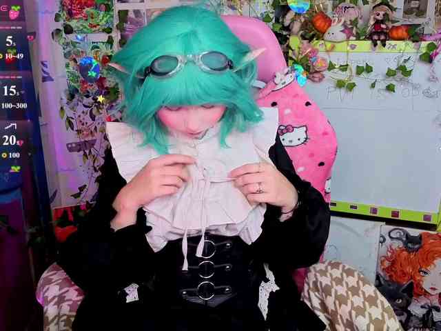 usagi-sasagi webcam