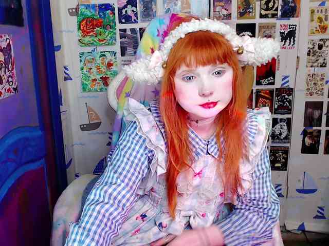 usagi-sasagi webcam