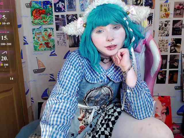 usagi-sasagi webcam