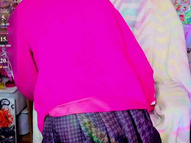 usagi-sasagi webcam