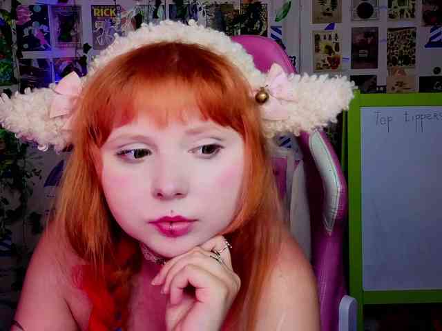 usagi-sasagi webcam