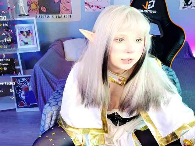 usagi-sasagi webcam