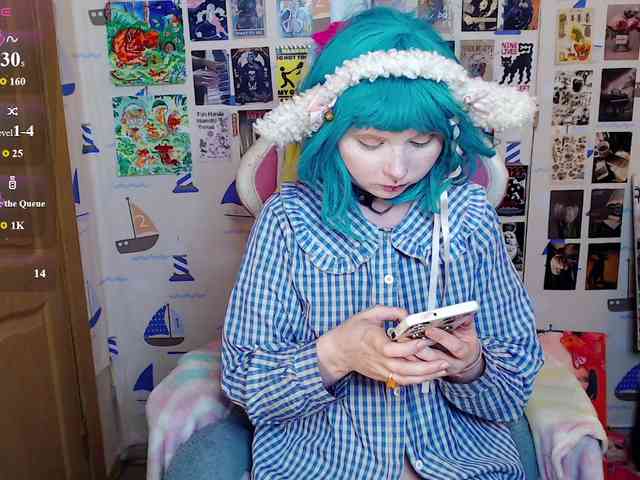 usagi-sasagi webcam
