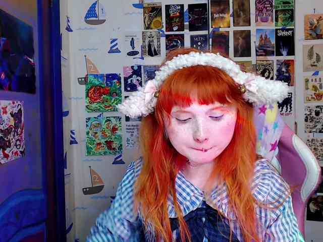usagi-sasagi webcam