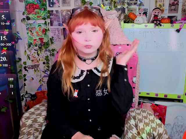 usagi-sasagi webcam