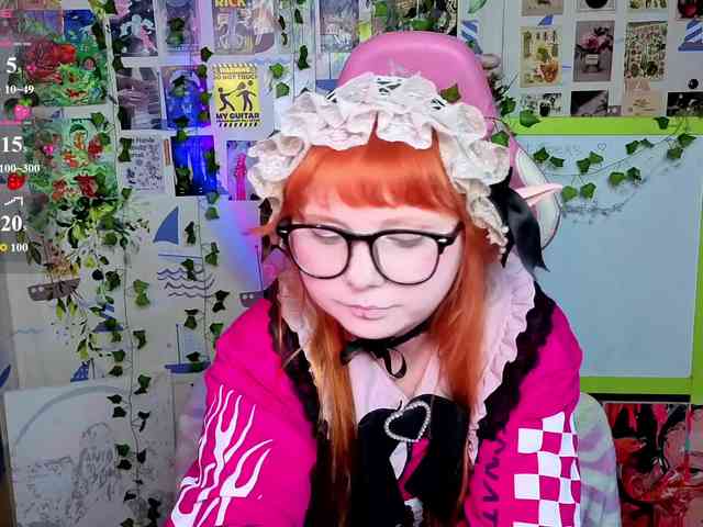 usagi-sasagi webcam