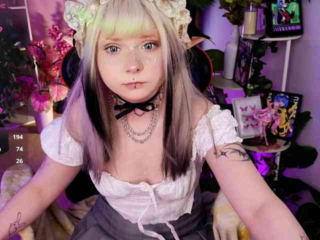 usagi-sasagi webcam