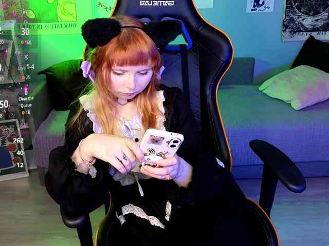 usagi-sasagi webcam