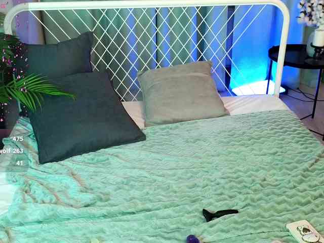 usagi-sasagi webcam