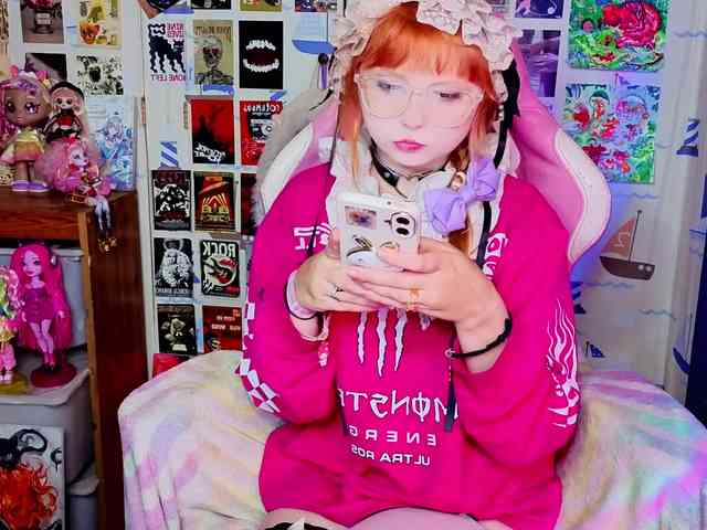 usagi-sasagi webcam