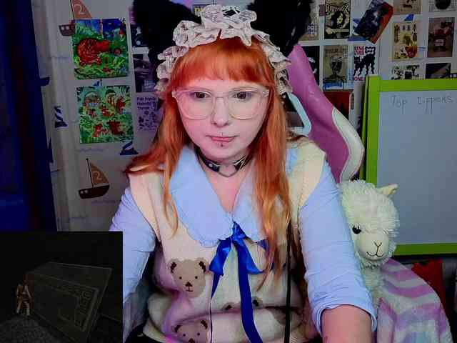 usagi-sasagi webcam
