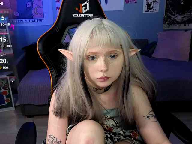 usagi-sasagi webcam