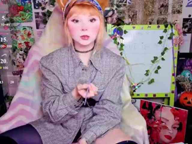usagi-sasagi webcam