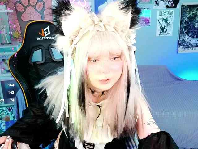 usagi-sasagi webcam
