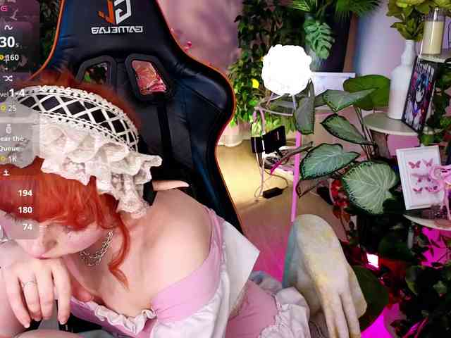 usagi-sasagi webcam
