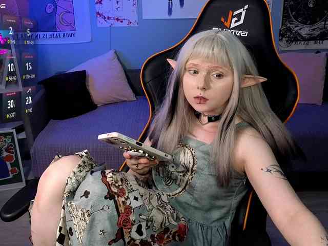 usagi-sasagi webcam