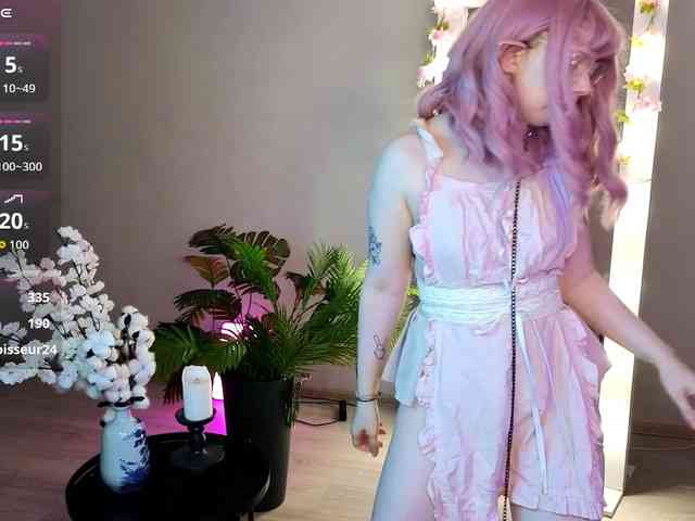 usagi-sasagi webcam