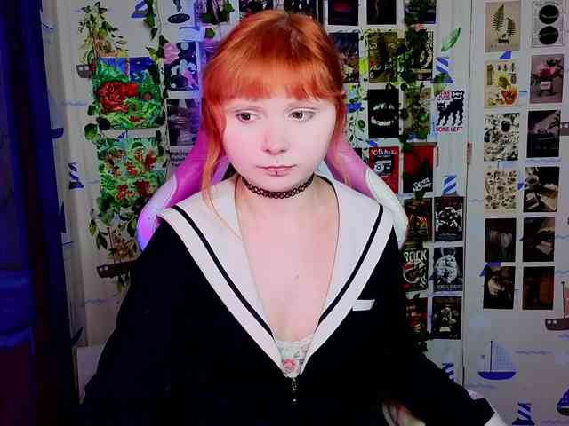 usagi-sasagi webcam