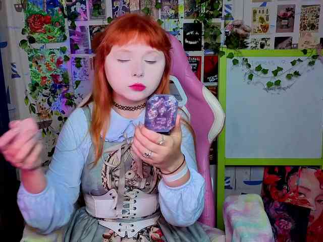 usagi-sasagi webcam