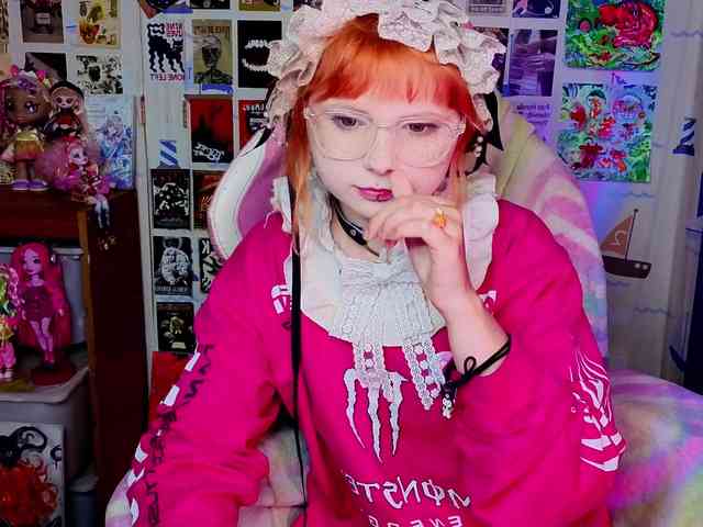 usagi-sasagi webcam
