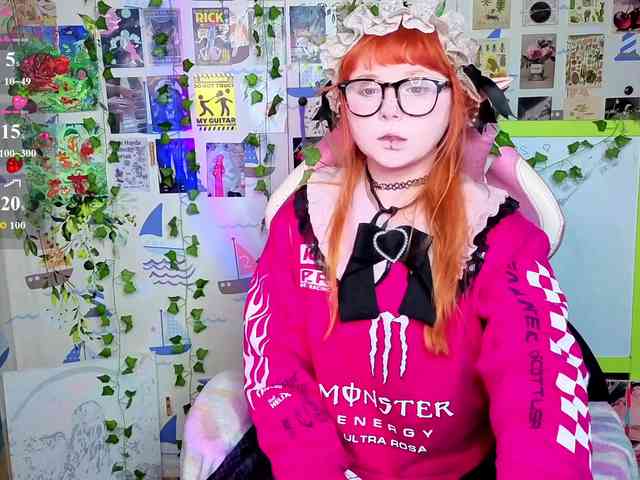 usagi-sasagi webcam
