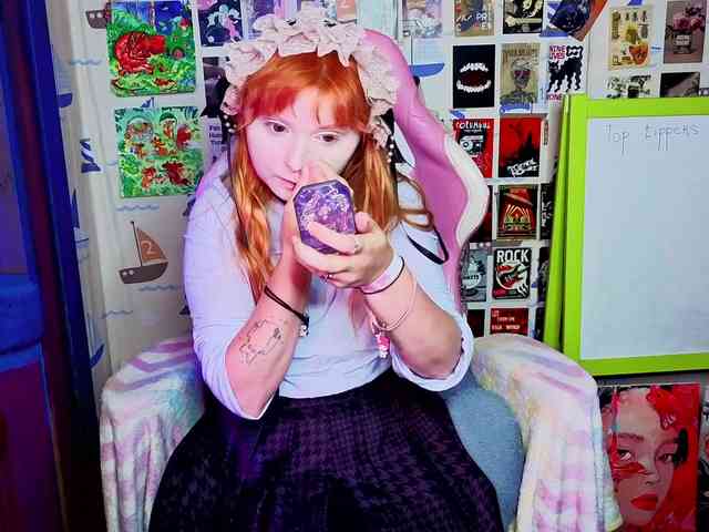 usagi-sasagi webcam