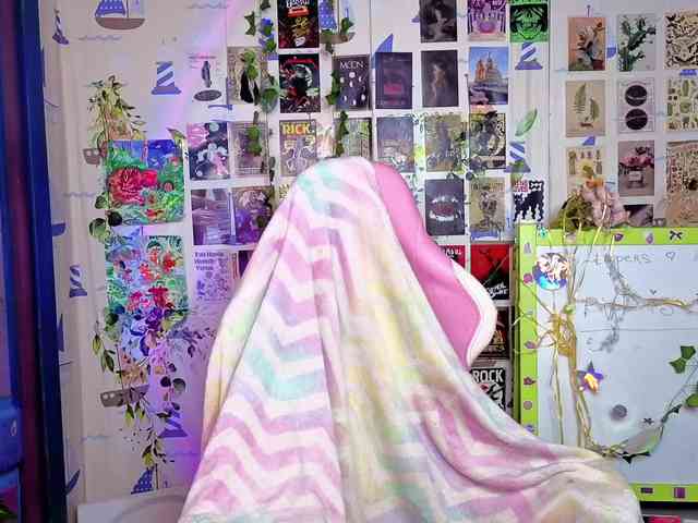 usagi-sasagi webcam