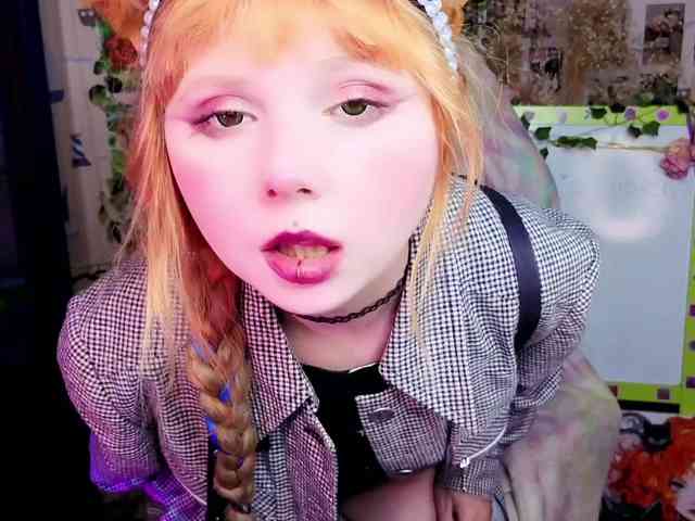 usagi-sasagi webcam