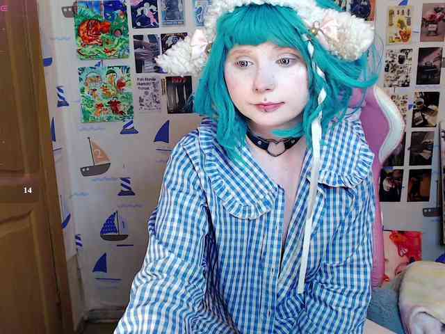 usagi-sasagi webcam