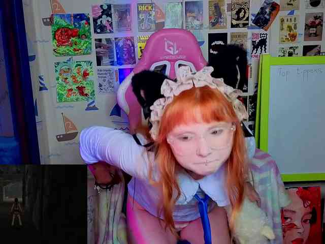 usagi-sasagi webcam