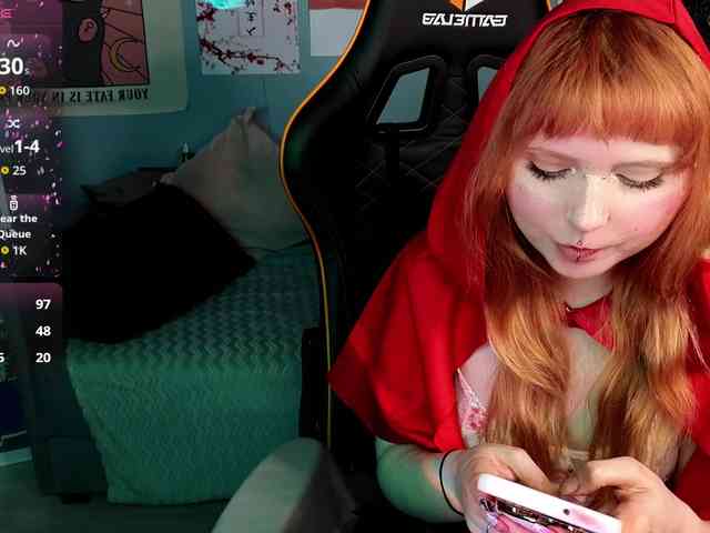 usagi-sasagi webcam