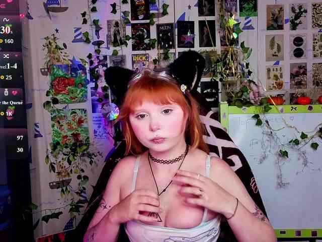 usagi-sasagi webcam