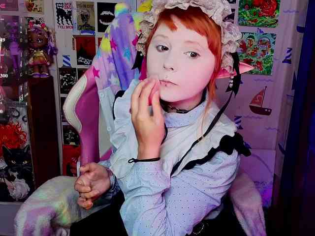 usagi-sasagi webcam