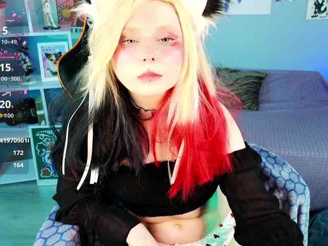 usagi-sasagi webcam