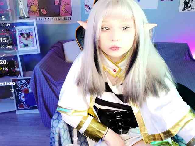 usagi-sasagi webcam