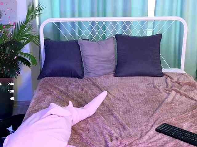 usagi-sasagi webcam